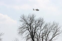 k-IMG_8615.JPG