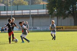 k-IMG_3452.JPG