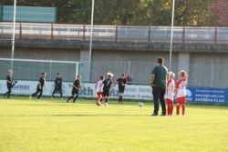 k-IMG_3492.JPG