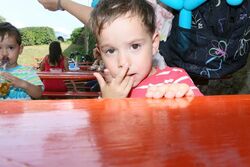 k-IMG_9556.JPG