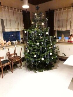k-U9 Weihnachten 2018 (3).jpg