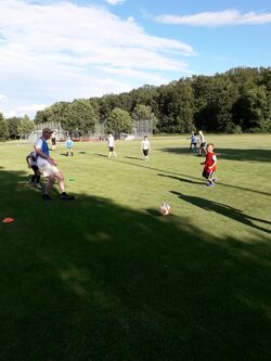 IMG-20190620-WA0003.jpg