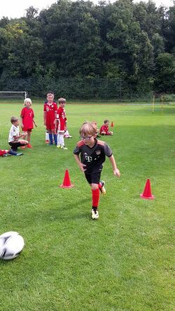 k-20170822_155139.jpg