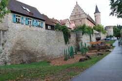 k-IMG_0303.JPG