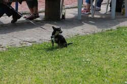 k-IMG_1125.JPG