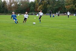 k-IMG_2593.JPG