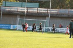 k-IMG_3493.JPG