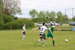 k-IMG_8031_0001.JPG