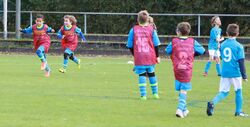 k-IMG_8281.JPG
