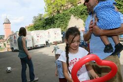 k-IMG_9547.JPG
