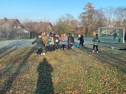 WhatsApp Image 2025-11-23 at 19.50.19_39.jpeg