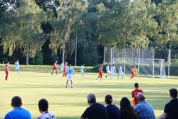 k-IMG_1596.JPG