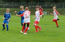 k-IMG_2511.JPG