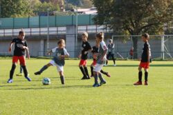 k-IMG_3464.JPG