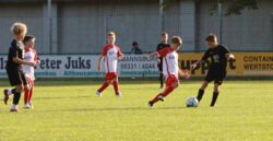 k-IMG_3479.JPG