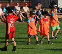 k-IMG_1857.JPG