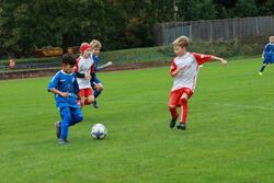 k-IMG_2513.JPG