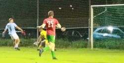 k-IMG_3863_3_3_Weidlich.JPG