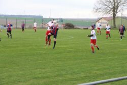 k-IMG_7248.JPG