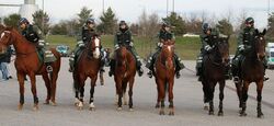 k-02 berittene Polizei.JPG