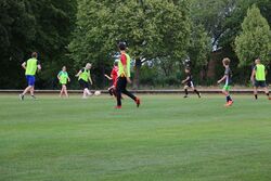 k-IMG_1331.JPG