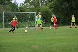 k-IMG_1387.JPG