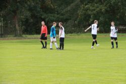 k-IMG_4013.JPG