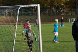 k-IMG_8304.JPG