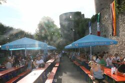k-IMG_9559.JPG