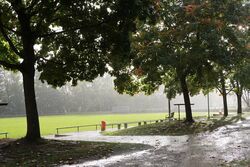 k-IMG_3092.JPG
