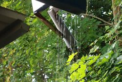 k-IMG_3099.JPG