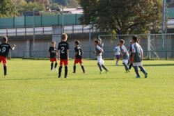 k-IMG_3448.JPG