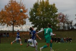 k-IMG_3692.JPG