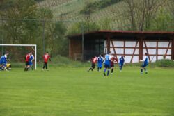 k-IMG_8006.JPG