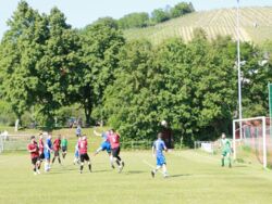 k-IMG_8415.JPG