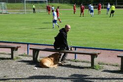 k-IMG_9616.JPG