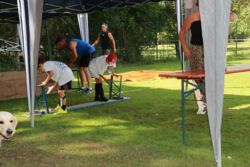 k-IMG_1745.JPG