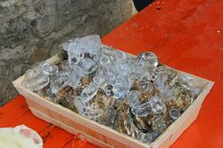 k-IMG_9526.JPG