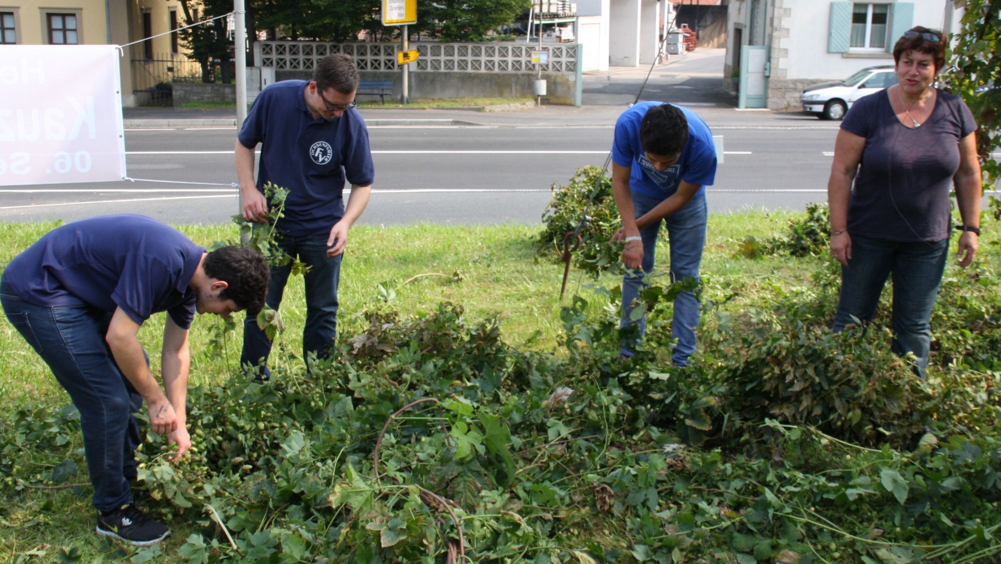 Hopfenernte 2014